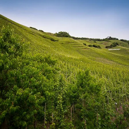 Hébergement de vacances Gaestehaus C.h.berres Uerzig-mosel Ürzig