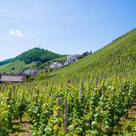 Gaestehaus C.h.berres Uerzig-mosel *