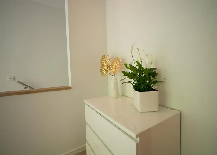 Gaestehaus C.h.berres Uerzig-mosel