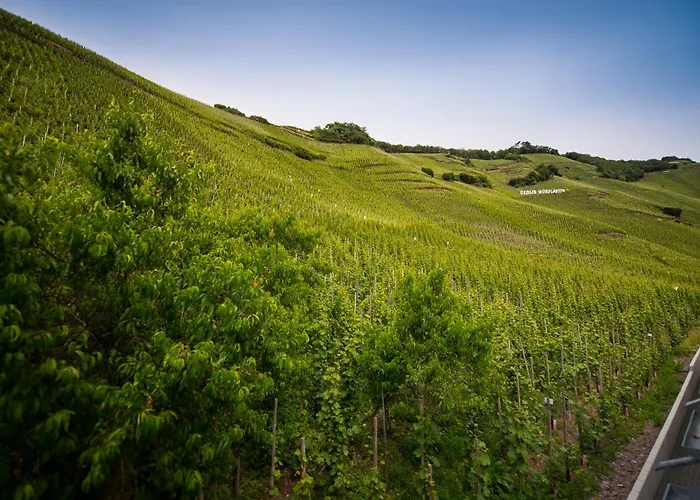 Casa vacanze Gaestehaus C.h.berres Uerzig-mosel Ürzig