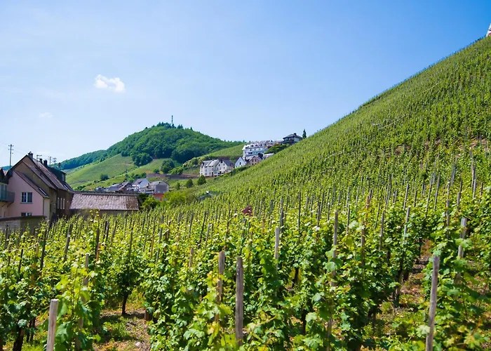 Gaestehaus C.h.berres Uerzig-mosel *