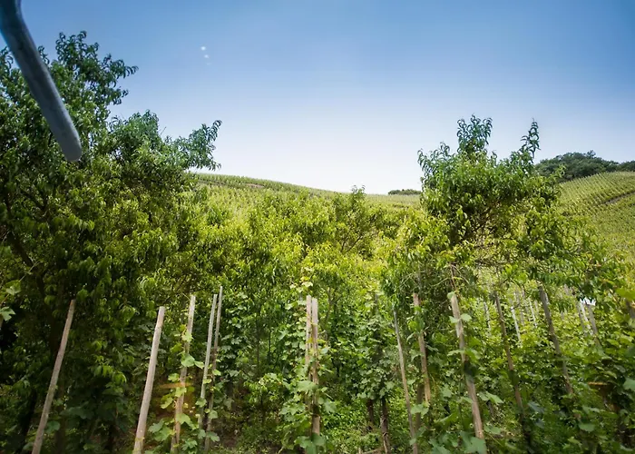 Gaestehaus C.h.berres Uerzig-mosel Casa de Férias Ürzig